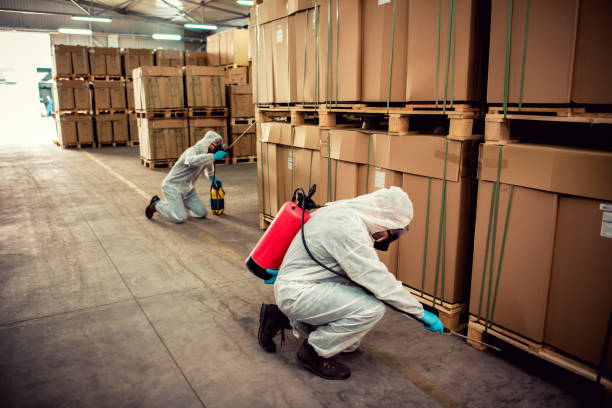Best Wasp Removal Services  in Troy, AL