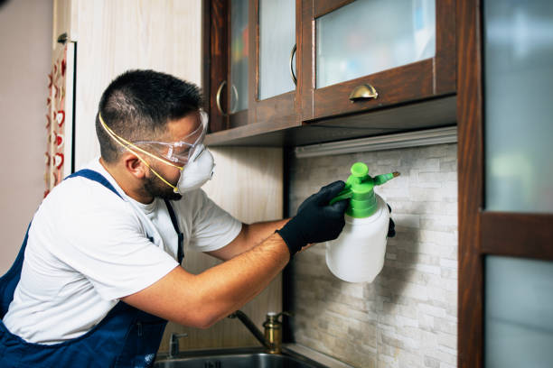 Reliable Troy, AL Pest Control Solutions