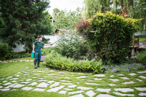 Best Affordable Pest Control Services  in Troy, AL