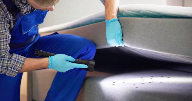Best Pest Prevention Services  in Troy, AL