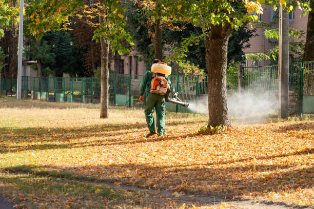 Best Pest Control Treatment  in Troy, AL