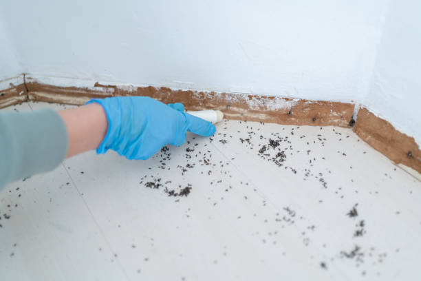 Best Local Pest Control Services  in Troy, AL