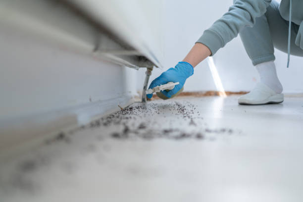 Best Pest Control Near Me in Troy, AL